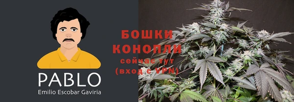 гашик Абинск