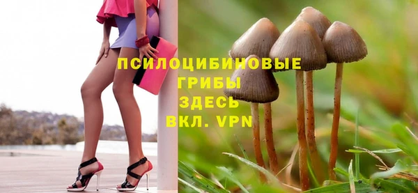 гашик Абинск