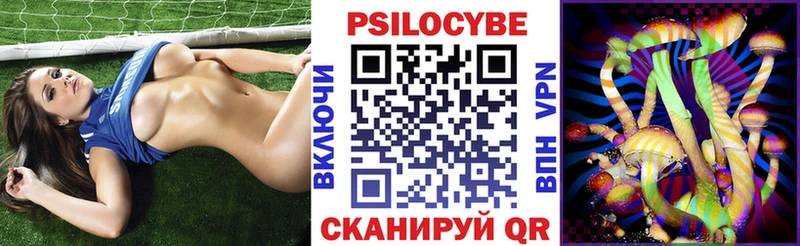 Псилоцибиновые грибы Psilocybe  Шали 